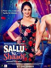 Sallu Ki Shaadi (2017) HDRip Hindi Full Movie Watch Online Free